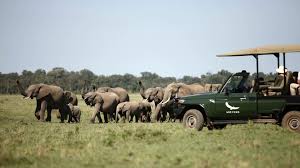 African safari Kenya Maasai Mara Top 10 Bucket List Adventures