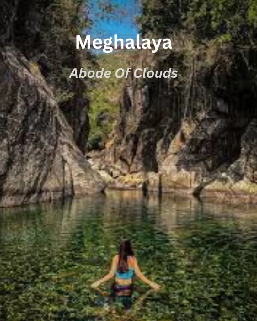 Living root bridges and waterfalls in Meghalaya