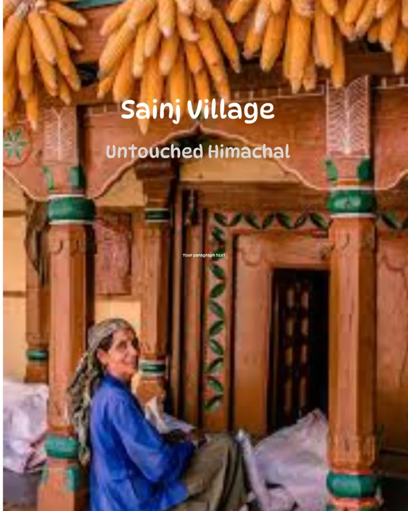 Offbeat Sainj Valley Himachal village stay and nature escape